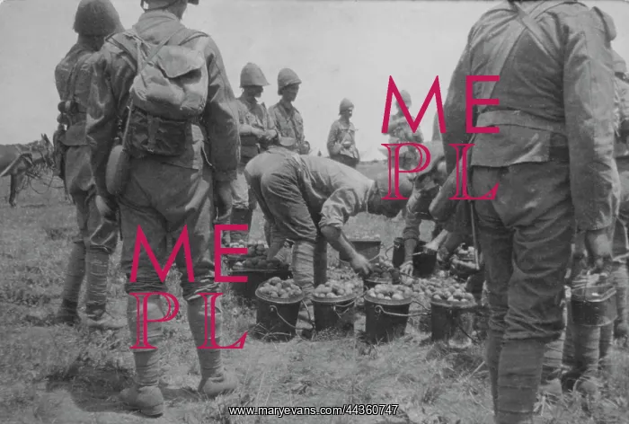 : Issuing potatoes : Issuing potatoes