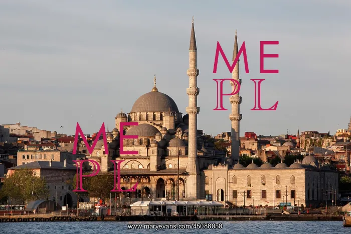 : Istanbul. General view of The New Mosque or Mosque of the Valide Sultan : Istanbul. General view of The New Mosque or Mosque of the Valide Sultan