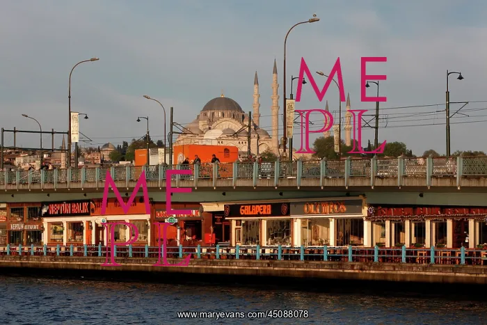 : Istanbul. General view of Galata Bridge, 1994 : Istanbul. General view of Galata Bridge, 1994