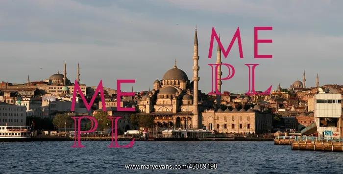 : Istanbul. General view of The New Mosque or Mosque of the Valide Sultan : Istanbul. General view of The New Mosque or Mosque of the Valide Sultan