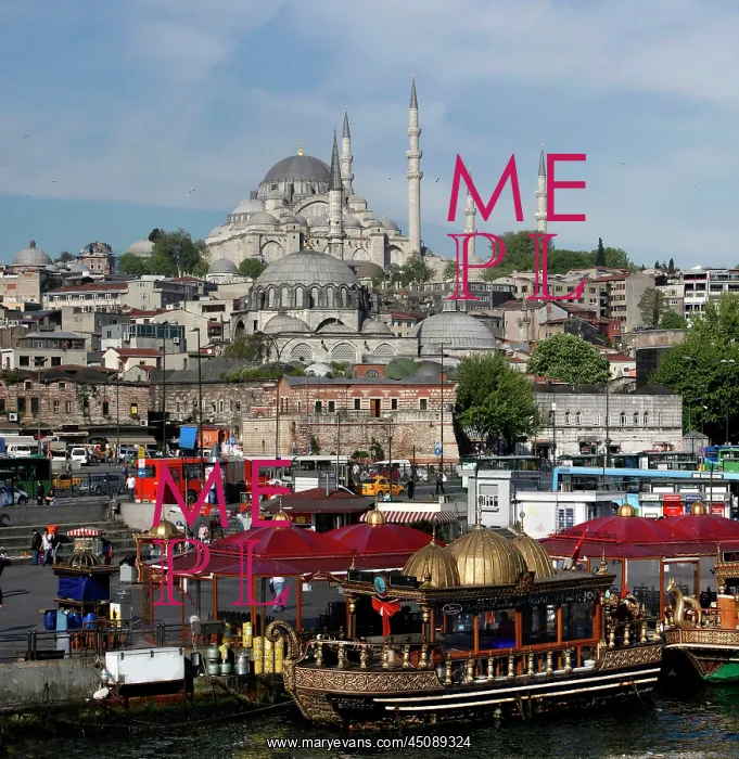 : Istanbul. Low angle view of Suleymaniye Mosque or Mosque of Sultan Suleyman : Istanbul. Low angle view of Suleymaniye Mosque or Mosque of Sultan Suleyman