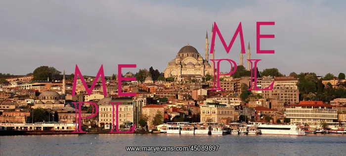 : Istanbul. Panoramic view of Suleymaniye Mosque or Mosque of Sultan Suleyman : Istanbul. Panoramic view of Suleymaniye Mosque or Mosque of Sultan Suleyman