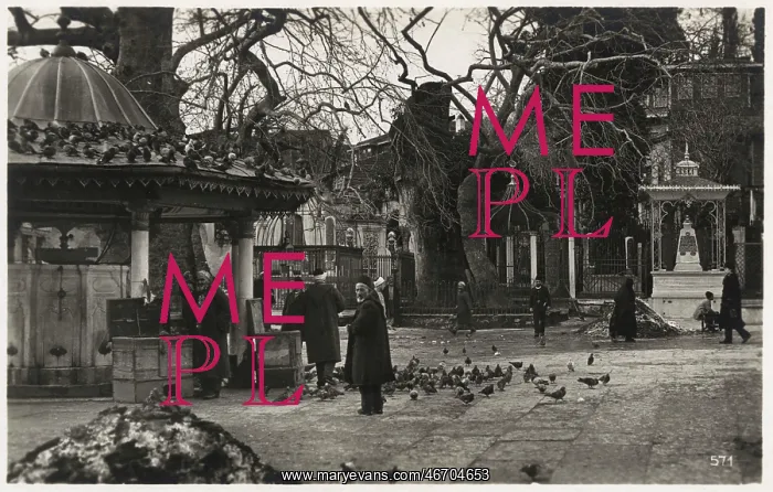  : Istanbul, Turkey - Pigeons in the courtyard of a Mosque