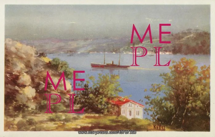 : Istanbul, Turkey - View down onto the Bosphorus : Istanbul, Turkey - View down onto the Bosphorus