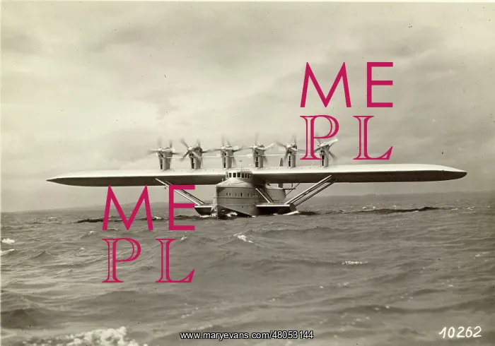 : An Italian Dornier DoX : An Italian Dornier DoX