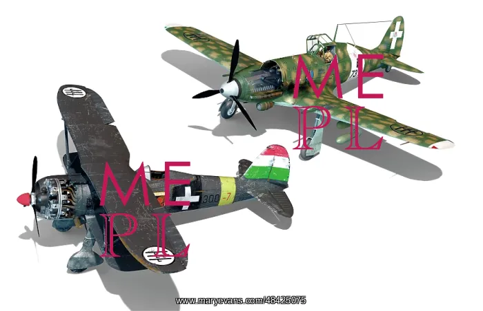 : Two Italian fighter planes used during WWII, the : Two Italian fighter planes used during WWII, the