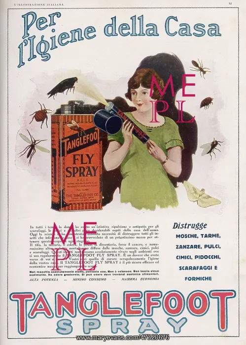 : ITALIAN FLY-SPRAY : ITALIAN FLY-SPRAY