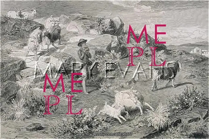 : ITALIAN GOAT HERD : ITALIAN GOAT HERD