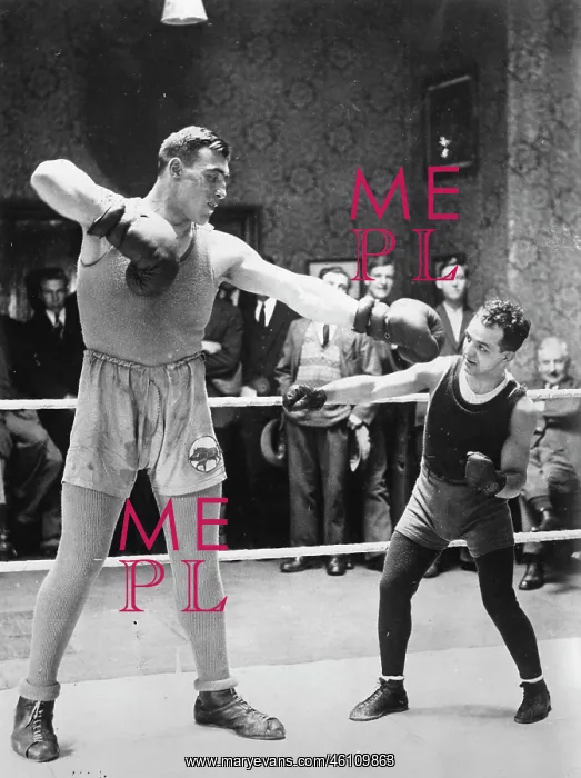 : The Italian heavyweight boxer Primo : The Italian heavyweight boxer Primo