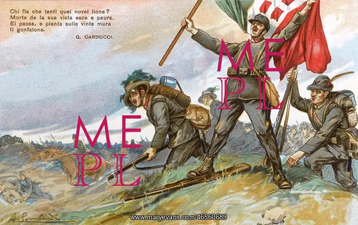 : Italian invasion into Austria Hungary : Italian invasion into Austria Hungary