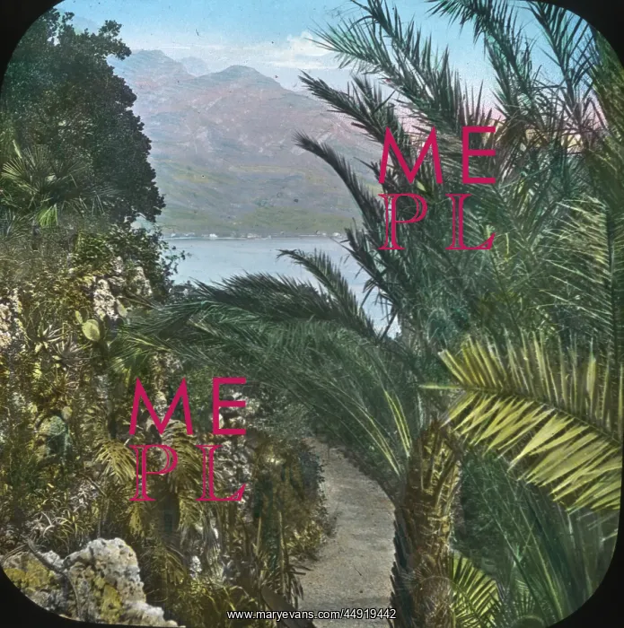 : Italian Lakes - Tropical plants : Italian Lakes - Tropical plants