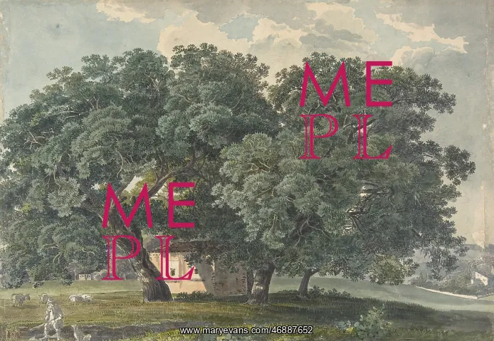 : Italian Landscape with Trees (recto), 1815?21 : Italian Landscape with Trees (recto), 1815?21