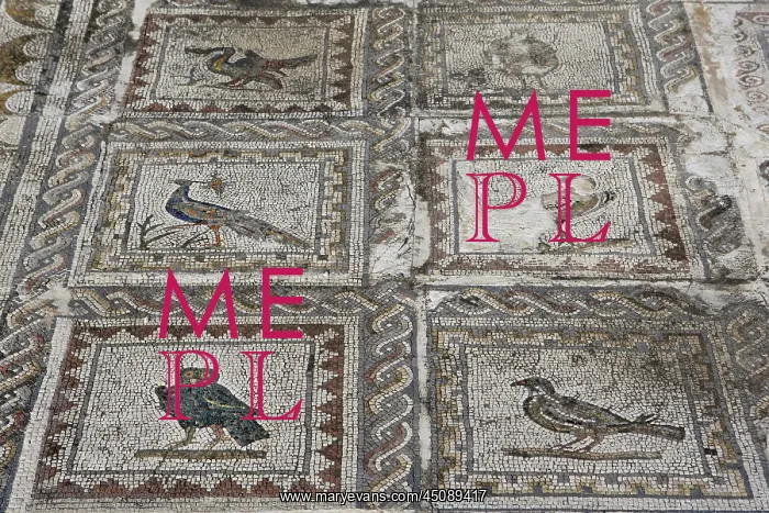 : Italica. Detail of mosaic in the House of the Birds : Italica. Detail of mosaic in the House of the Birds