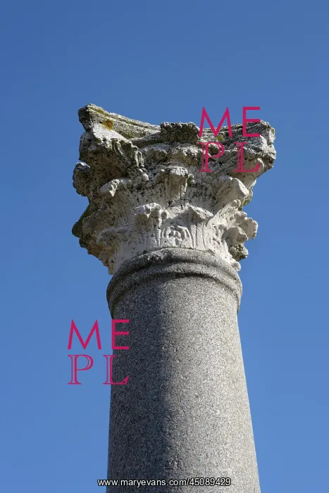 : Italica. Detail of column and capital in the House of the Birds : Italica. Detail of column and capital in the House of the Birds