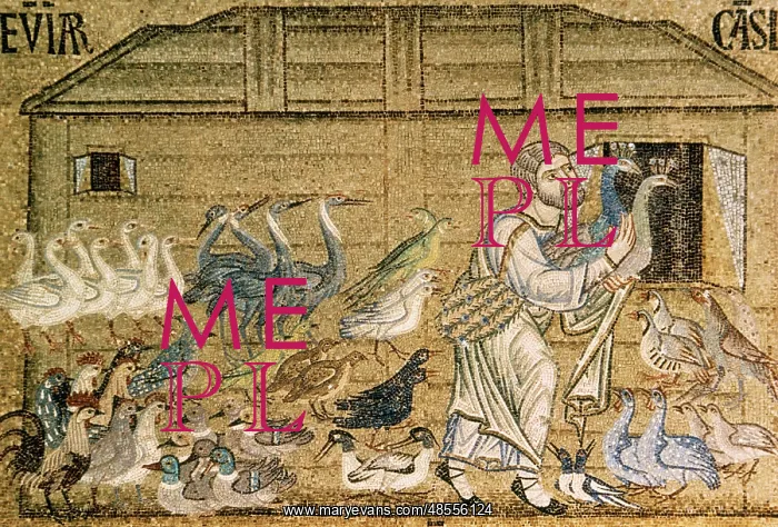 : Italiy. Venice. Saint Mark's Basilica. Noah's Ark. Mosaic. 1 : Italiy. Venice. Saint Mark's Basilica. Noah's Ark. Mosaic. 1