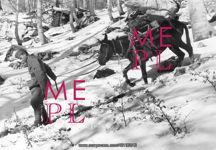: Front in Italy, 1943 : Front in Italy, 1943