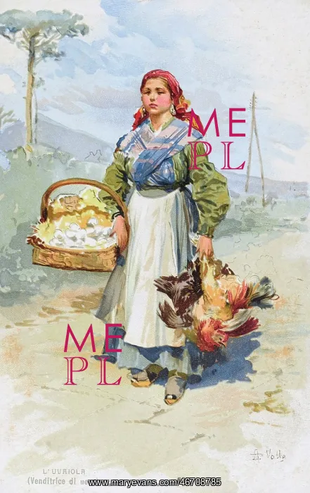 : Italy - Egg Seller : Italy - Egg Seller