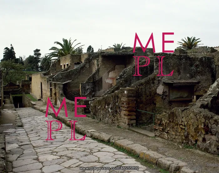  : Italy. Herculaneum. Cardo V
