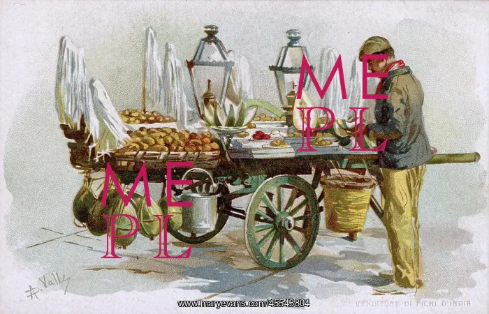  : Italy - Indian Fig Seller