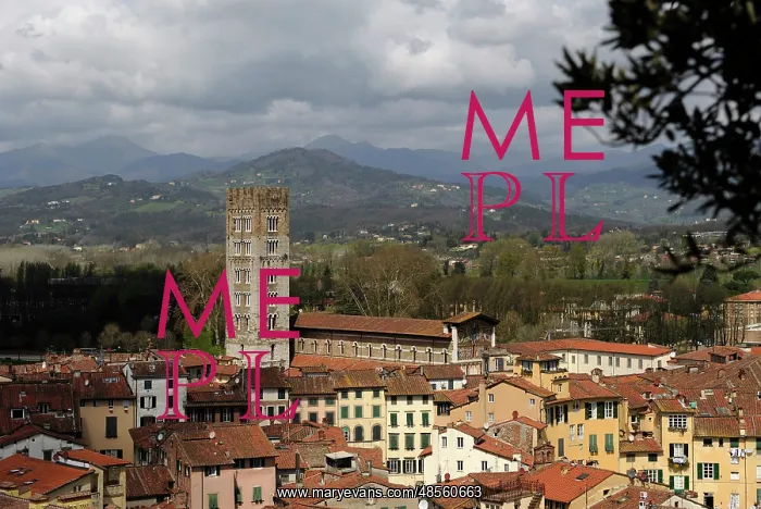 : Italy. Lucca. Panorama : Italy. Lucca. Panorama