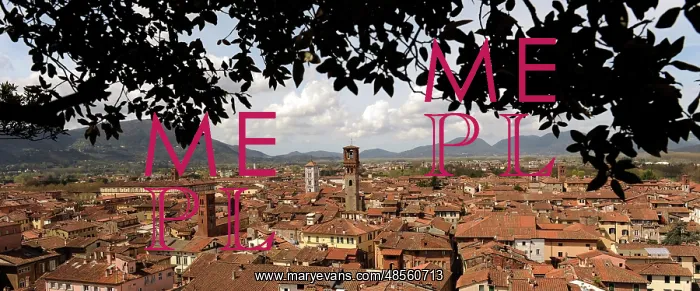  : Italy. Lucca. Panorama