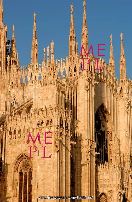  : Italy. Milan Cathedral. Detail