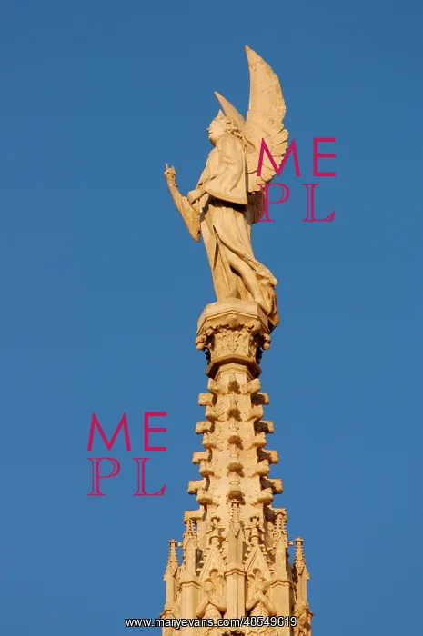  : Italy. Milan. Cathedral. Gothic. 14th century. Statue