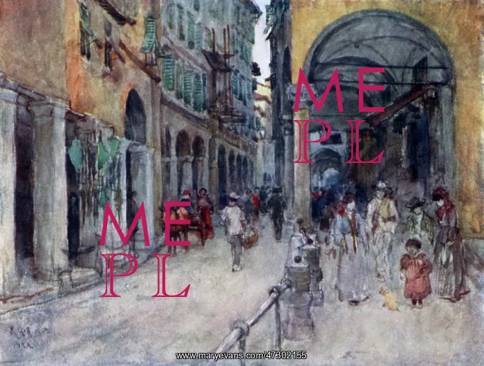  : ITALY / PISA STREET 1905