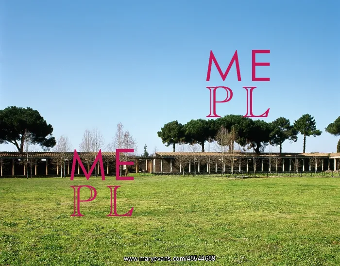  : Italy. Pompeii. Great gym