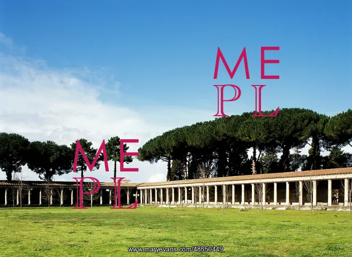  : Italy. Pompeii. Great gym