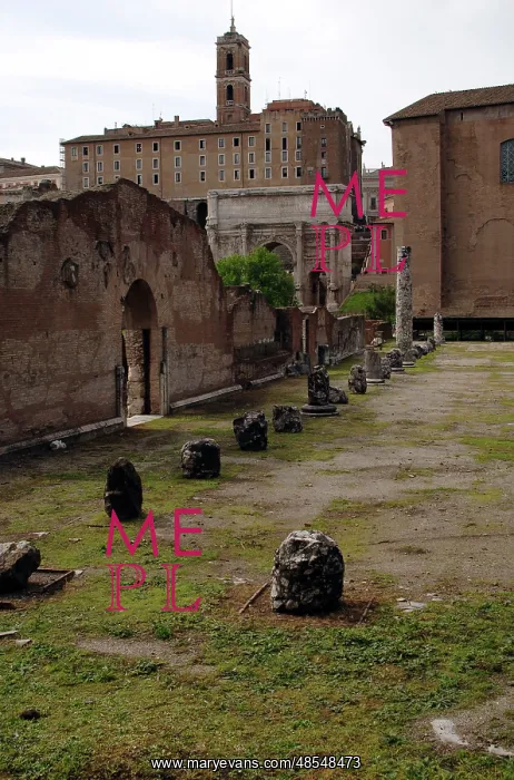 : Italy. Rome. Basilica Aemilia : Italy. Rome. Basilica Aemilia