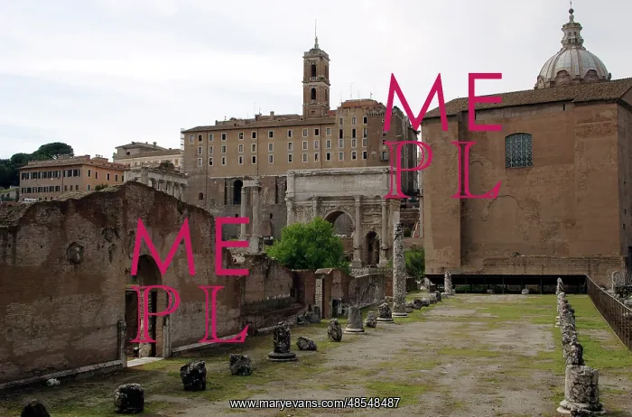  : Italy. Rome. Basilica Aemilia