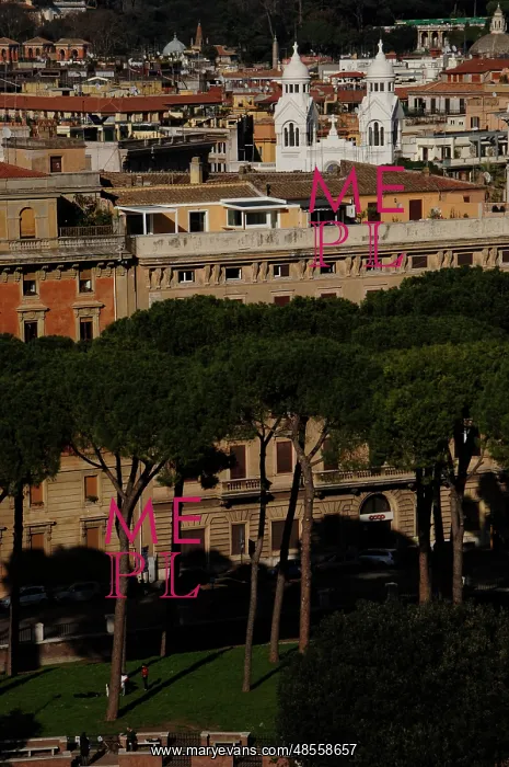  : Italy. Rome. City panorama