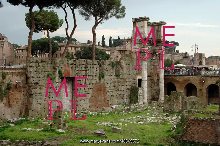 : Italy. Rome. Forum of Nerva. Built in 85-97 A.C : Italy. Rome. Forum of Nerva. Built in 85-97 A.C