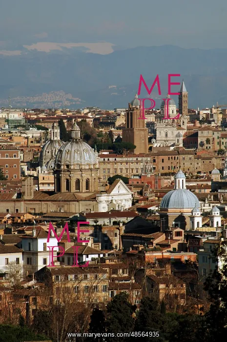  : Italy. Rome. Panorama