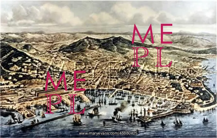 : ITALY / TRIESTE 1880 : ITALY / TRIESTE 1880