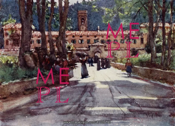 : ITALY / VALLOMBROSA 1905 : ITALY / VALLOMBROSA 1905