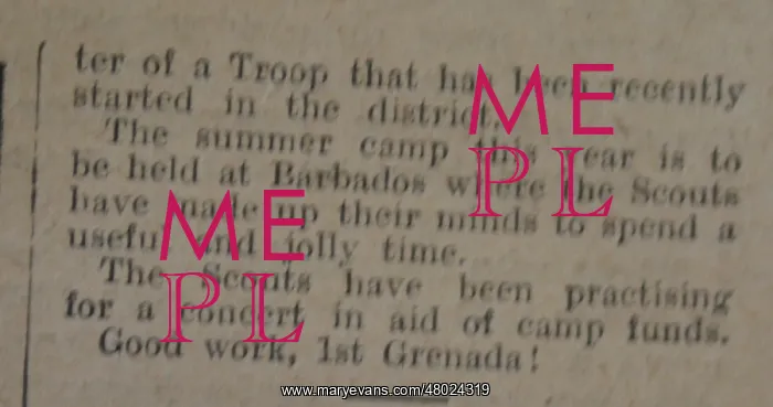 : Item from The Scout newspaper : Item from The Scout newspaper