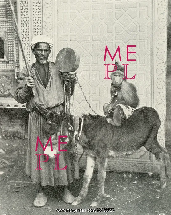  : Itinerant musician with monkey and donkey, Cairo, Egypt