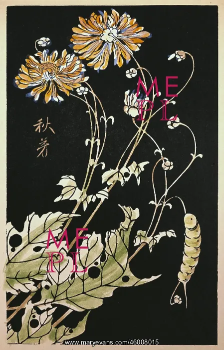 : Ito Jakuchu (1716 - 1800 : Ito Jakuchu (1716 - 1800