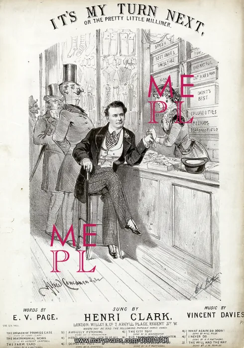 : It's My Turn Next, by E V Page and Vincent Davies : It's My Turn Next, by E V Page and Vincent Davies