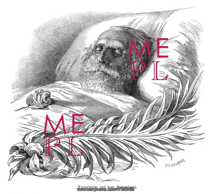  : IVAN TURGENEV DEAD