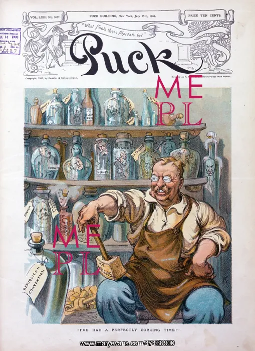 : I've had a perfectly corking time! : I've had a perfectly corking time!