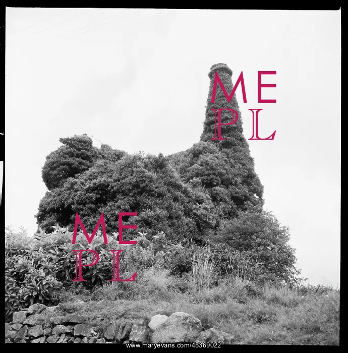 : An ivy covered engine house and chimney, probably : An ivy covered engine house and chimney, probably