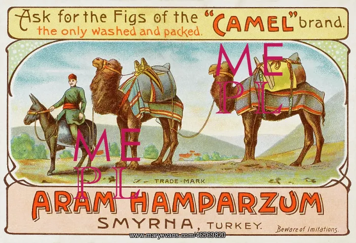 : Izmir, Turkey - Camel brand figs : Izmir, Turkey - Camel brand figs