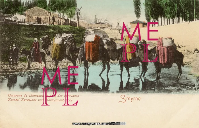 : Izmir, Turkey - Camel Caravan - Kemer Bridge : Izmir, Turkey - Camel Caravan - Kemer Bridge