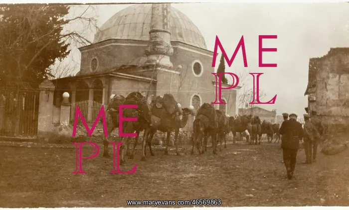 : Izmir, Turkey - Camel Train passes Mosque : Izmir, Turkey - Camel Train passes Mosque