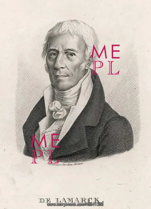 : J B P A de Lamarck - Tardieu : J B P A de Lamarck - Tardieu