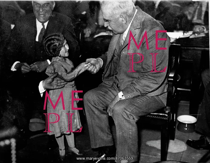 : J. P. Morgan : J. P. Morgan