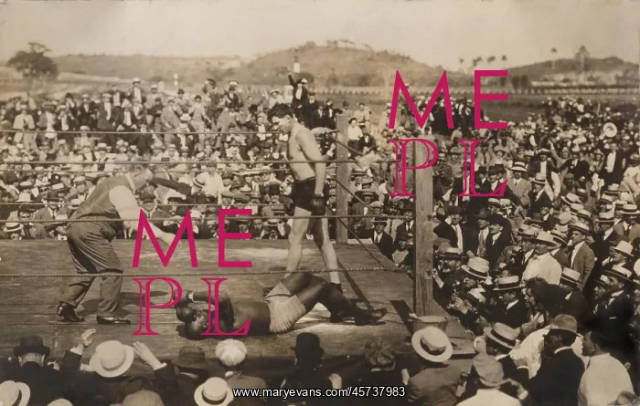 : Jack Johnson - Jess Willard - Boxing - Sports : Jack Johnson - Jess Willard - Boxing - Sports
